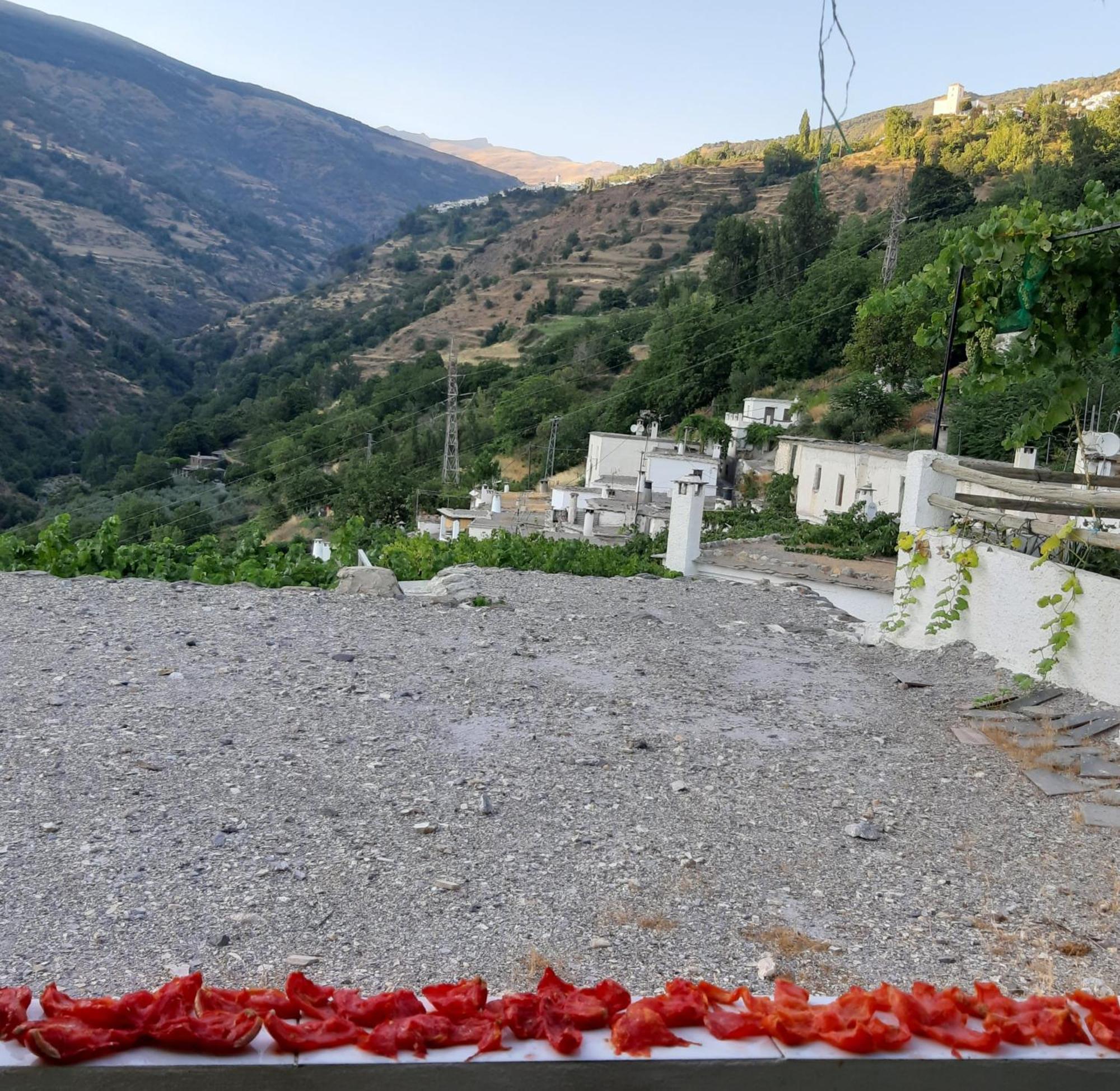 Casa Martina Pampaneira Leilighet Rom bilde